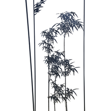Kwang Ho Kim