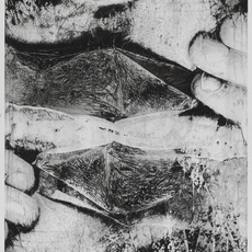 Alain Huck