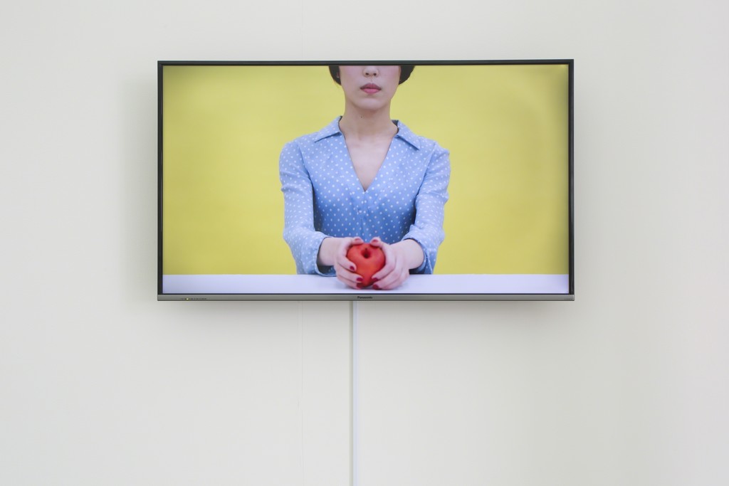 Installation view of "Joyce Ho" at Kirishima Open-Air Museum, Kagoshima (2016) Installation view of "Joyce Ho" at Kirishima Open-Air Museum, Kagoshima (2016)