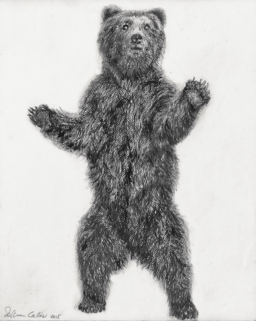 Jo Ann Callis, ‘Bear’, 2015, Drawing, Collage or other Work on Paper, Mixed media drawing, ROSEGALLERY