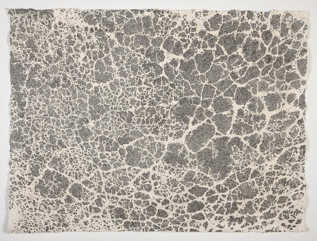 Diane Samuels, ‘Cracks on Sampsonia (F)’, 2008, Pavel Zoubok Fine Art