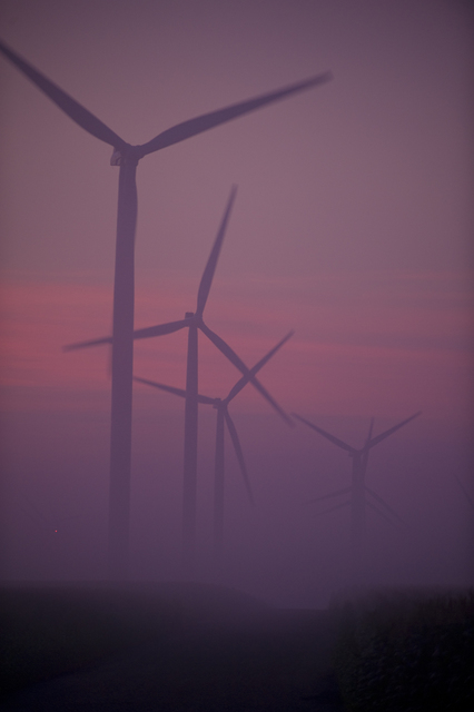 Alan Montgomery, ‘Purple Haze’, 2008, Foto Relevance