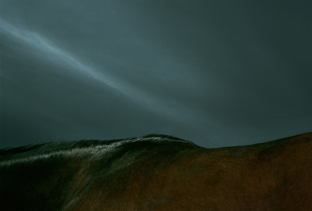 Leon Steele, ‘Pelage Ridge’, 2002, Photography, Chromogenic Print, Wren London