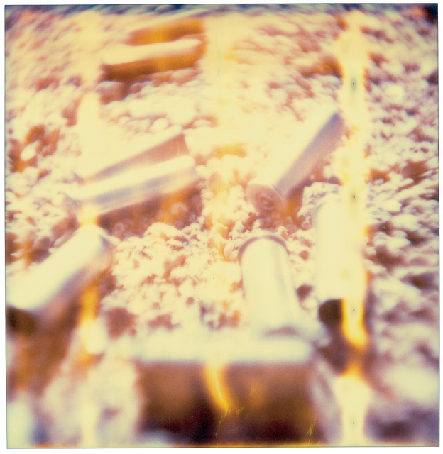 Stefanie Schneider, ‘Shells’, 2003, Photography, Analog C-Print, hand-printed by the artist on Fuji Crystal Archive Paper, based on a Polaroid, mounted on Aluminum with matte UV-Protection, Instantdreams