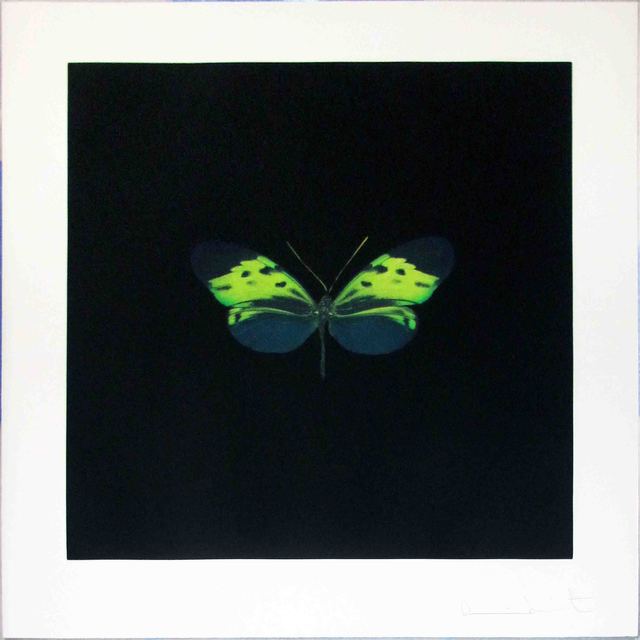 Damien Hirst, ‘The Souls on Jacob's Ladder Take Their Flight (Small Green)’, 2007, Hamilton-Selway Fine Art