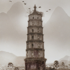 Don Hong-Oai