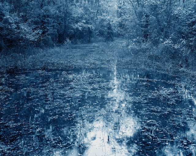 Yojiro Imasaka, ‘Blue Bayou #15’, 2016, MIYAKO YOSHINAGA