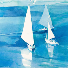 Ian Potts