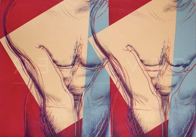 Andy Warhol, ‘Torso (Double) (FS IIIA.35)’, 1982, Print, Screenprint on Saunders Waterford (Hot Pressed) Paper, Revolver Gallery