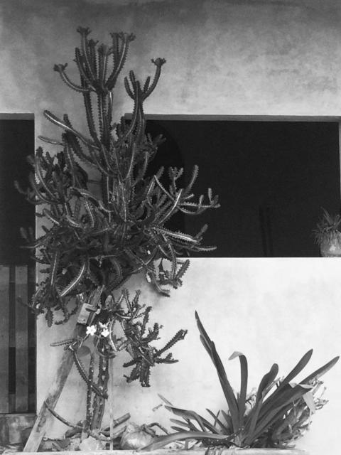 Heidi Jung, ‘Mexico #3’, 2017, Michael Warren Contemporary