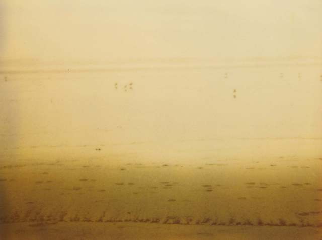 Stefanie Schneider, ‘Sunset (Stranger than Paradise)’, 1997, Photography, Analog C-Print, hand-printed by the artist on Fuji Crystal Archive Paper, based on a Polaroid, not mounted, Instantdreams