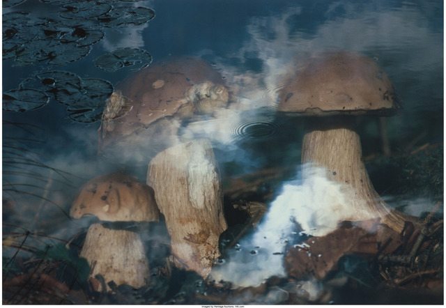 David Weiss, ‘Pilze in Wasser’, 1998, Heritage Auctions