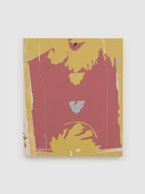 Maysha Mohamedi: Maysha the Fool