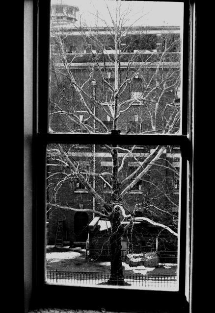 Pete Marifoglou Tree, 1968
auf Hahnemühle Museum Etching Deckle Edge
20 x 28cm
Pete Marifoglou Tree, 1968
auf Hahnemühle Museum Etching Deckle Edge
20 x 28cm