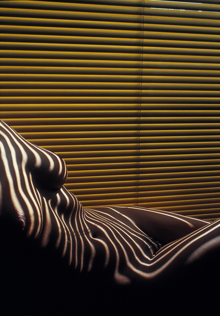 Lucien Clergue, ‘Zebra Nude with Venetian Blind, New York, April’, 2012, Photography, Chromogenic print, No. 1 of Edition: 15 TGF, Modernism Inc.