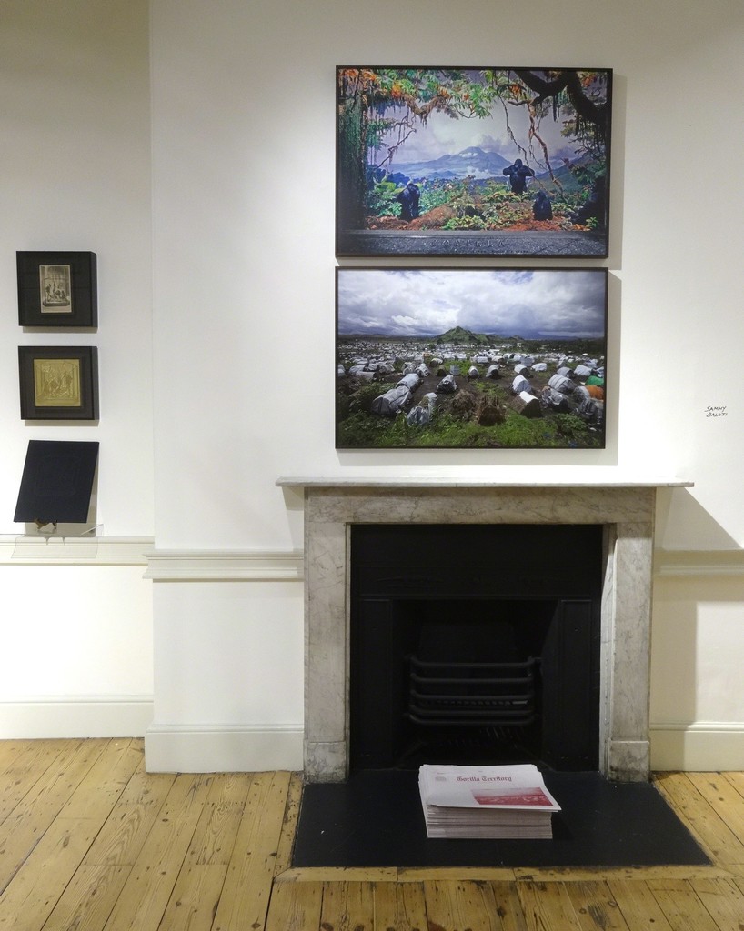 Sammy Baloji's Gorilla Territory, 2015 Sammy Baloji's Gorilla Territory, 2015