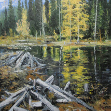 James Cook, Old Lodges (2012)