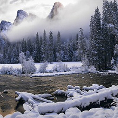 Peter Lik