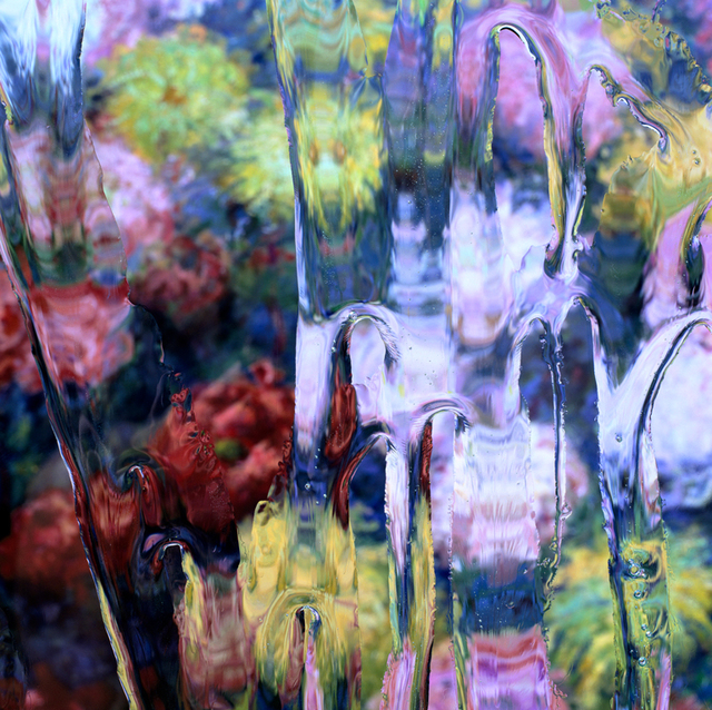 Carol Inez Charney, ‘After Claude Monet: Chrysanthemums 1897, 2017’, 2017, George Billis Gallery