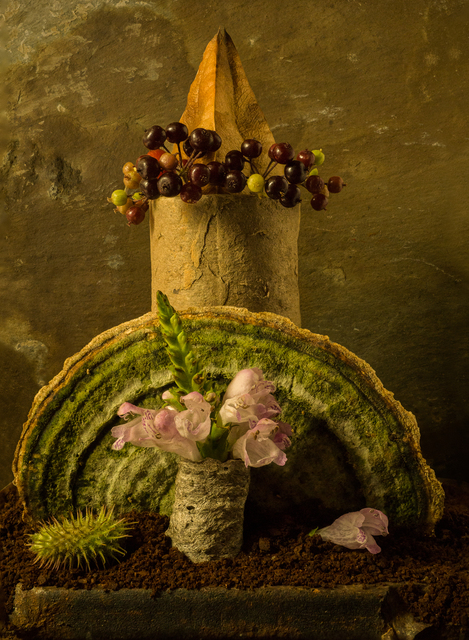 Allan Markman, ‘Still Life with Mushroom and Berries’, Soho Photo Gallery