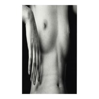 Distortion No. 6 (Nude)