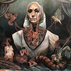 Alex Reisfar