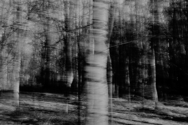 image-zoom