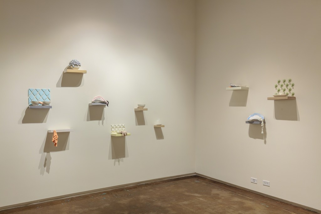 Tsehai Johnson, installation view Tsehai Johnson, installation view