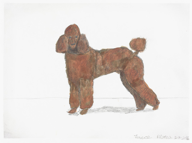 Lance Rivers, ‘Untitled (Poodle)’, 2016, Creativity Explored