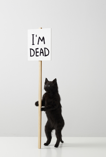 David Shrigley, ‘I'm Dead’, 2011, Galleri Nicolai Wallner