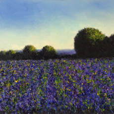 John Stockwell