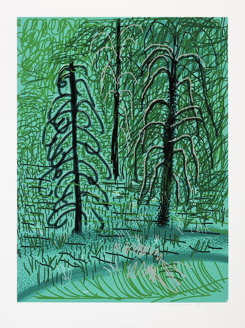 David Hockney, ‘The Yosemite Suite No. 16’, 2010, Galerie Lelong & Co.