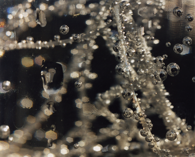 Anne Veraldi, ‘Filament #8’, 2006, Photography, C Print, Fouladi Projects