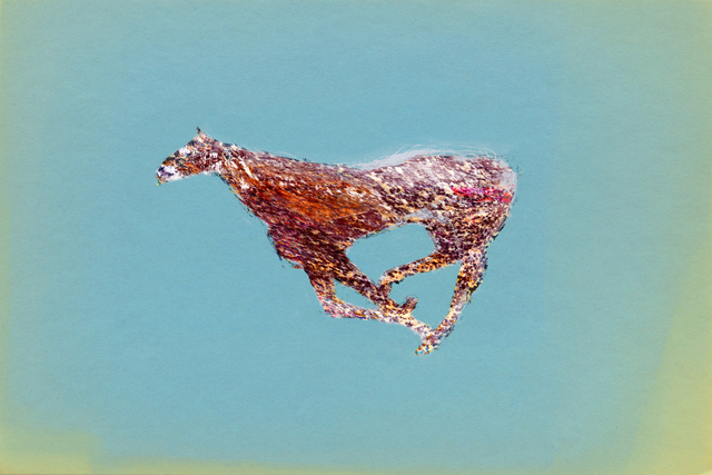 Alex Fischer, ‘Horse Misunderstanding’, 2018, Circuit Gallery