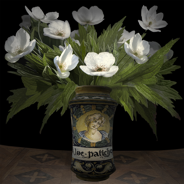 T.M. Glass, ‘Anemone Canadensis in an Italian Pharmaceutical Vessel’, 2017, Print, Impression d’archive avec pigments / Archival Pigment Print, Galerie de Bellefeuille