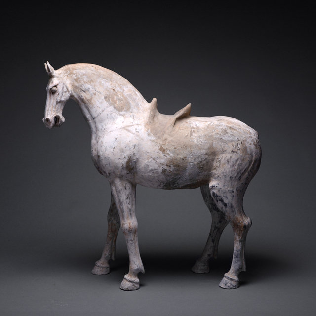 Tang Dynasty | Tang Sculpture of a Horse (Tang Dynasty, c. 618 , 907 A