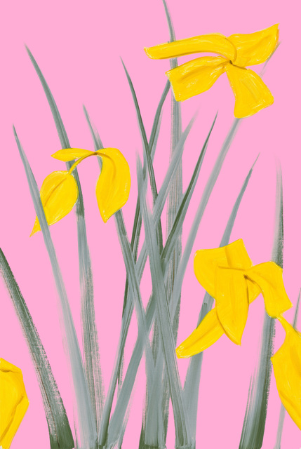 Alex Katz, ‘Yellow Flags 3’, 2020, Print, Archival pigment ink on Innova Etching Cotton Rag 315 gsm fine art paper, Kenneth A. Friedman & Co.