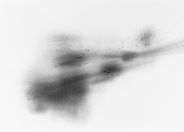 ''Dust'' Series — Çağla Köseoğulları (2023)