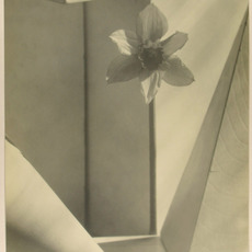 John Vanderpant