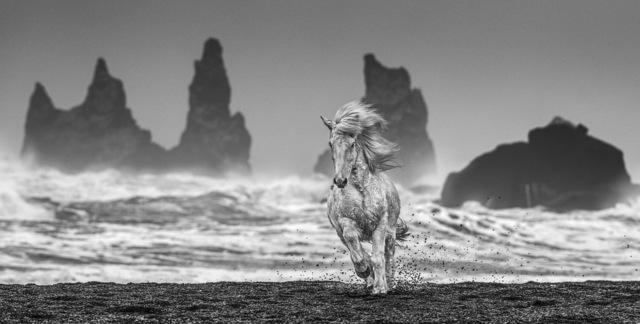 David Yarrow, ‘White Horses ’, 2018, Photography, Archival Pigment Print, Tres Hombres
