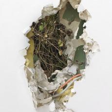 Alvaro Urbano