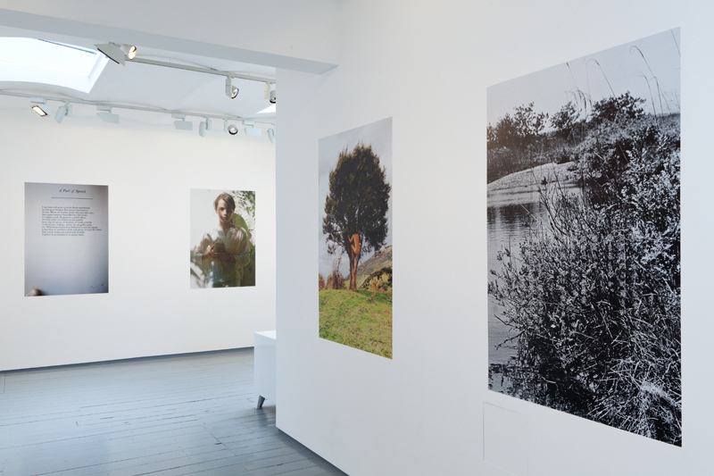 Installation at Paul Stolper Gallery - SNAP / The Portfolio 2011 -
June 10, 2011 - June 25, 2011 Installation at Paul Stolper Gallery - SNAP / The Portfolio 2011 -
June 10, 2011 - June 25, 2011