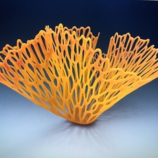 Lauren Fowler