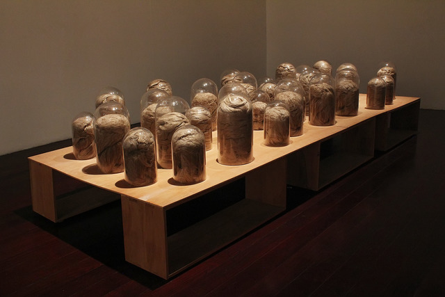 Marcelo Silveira, ‘The large canvas’, 2012, Galeria Nara Roesler