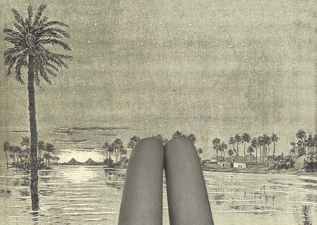 Hotdog Legs — Berkay Tuncay (2016)