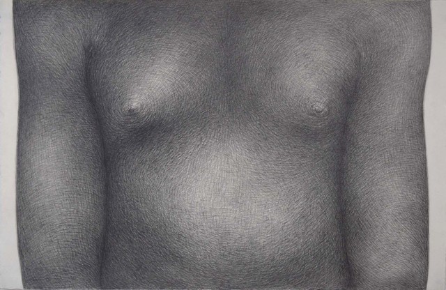 Diana Quinby, ‘Torse II’, 2019, Drawing, Collage or other Work on Paper, Crayon graphite sur papier, Galerie Arnaud Lefebvre