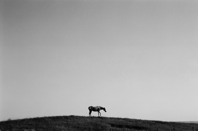 Daniel Peet, ‘Real Mirage’, 2011, Nina Johnson
