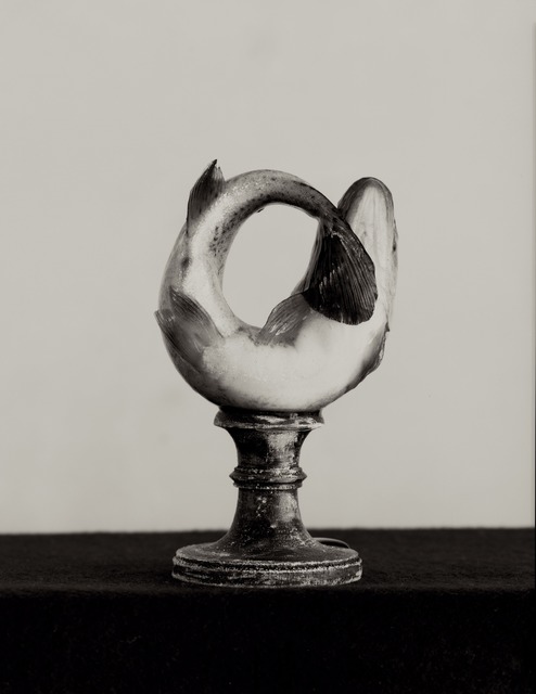 Zoë Zimmerman, ‘Fish #2’, 2005, Photography, Albumen, photo-eye Gallery