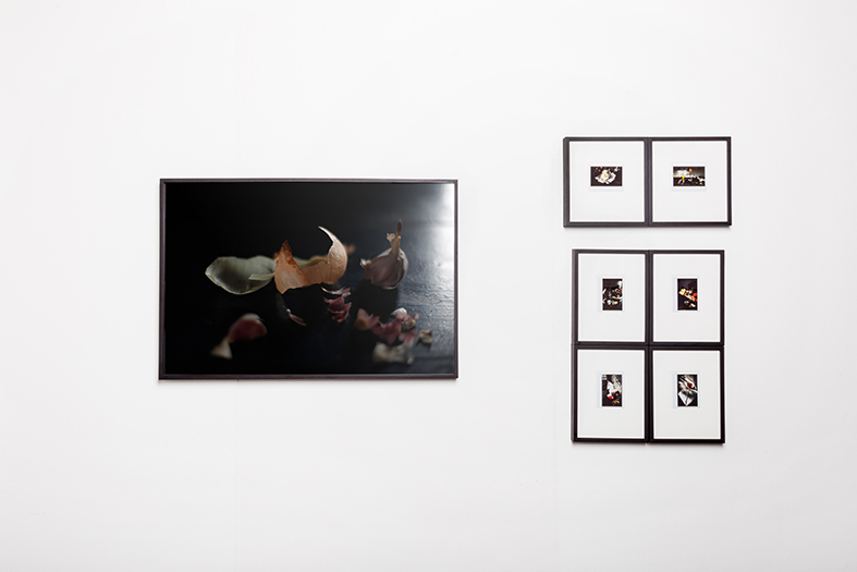 Booth View, photographs by Ignacio Iasparra. Booth View, photographs by Ignacio Iasparra.