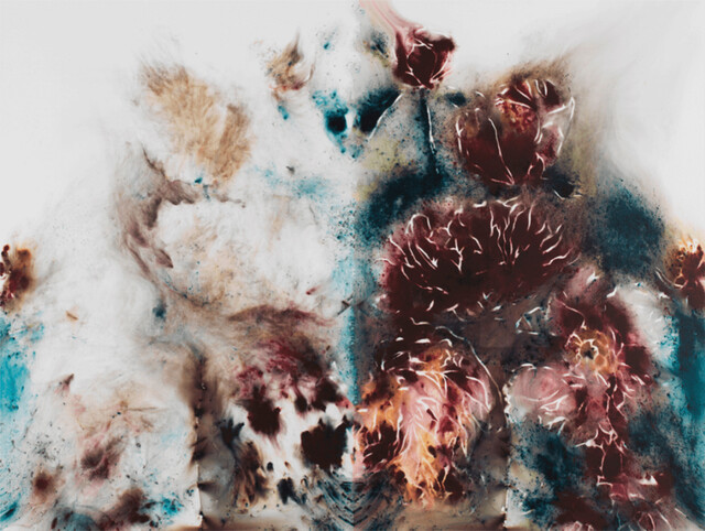 Chaos by Cai Guo-Qiang on artnet